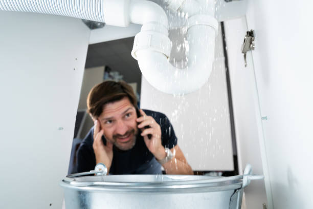 Best Sprinkler Systems  in Annapolis Neck, MD