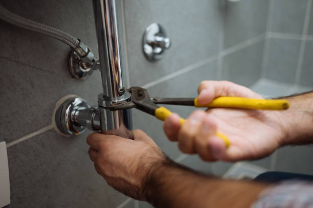 Best Local Plumber Services  in Annapolis Neck, MD